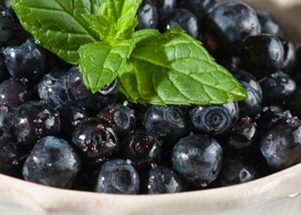 Fruit - Blueberries - Wild - frozen - 1kg - bag